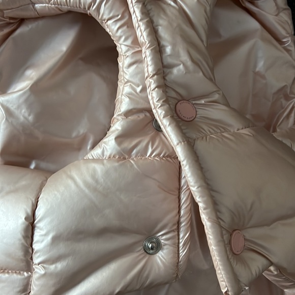 Dog puffer vest. New. Never worn - Picture 4 of 5